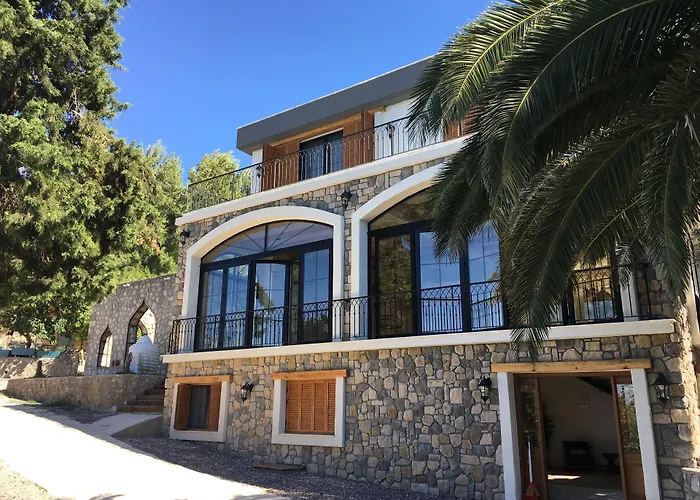ホテル Cesme Koey 5*