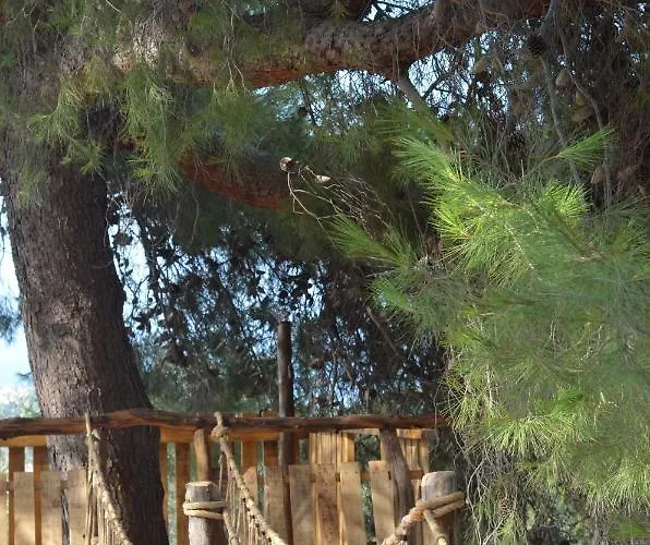 Cesme Koey ホテル