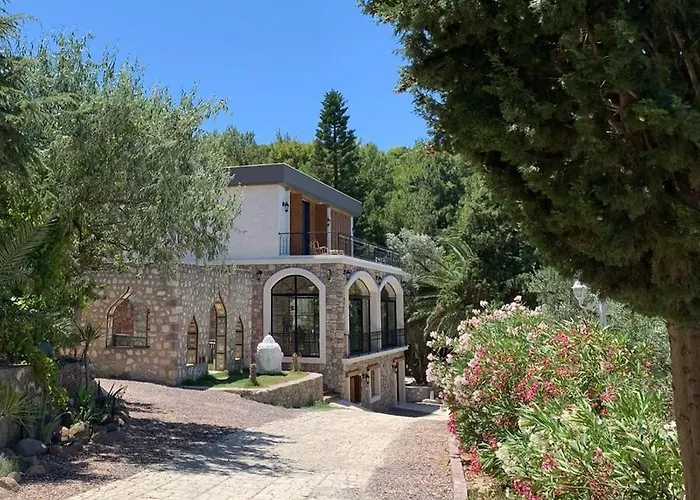 ホテル Cesme Koey 5*